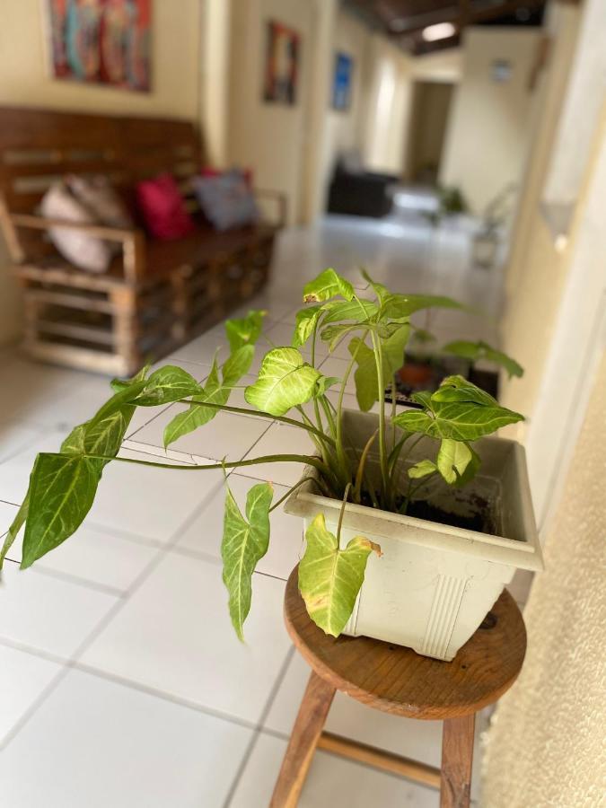 Guest house Okay De Iracema